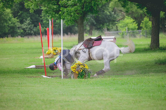 RWP_2798