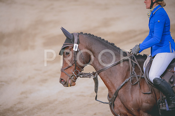 JJS_8001