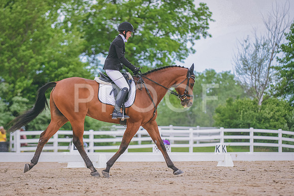 DSC_3529 copy