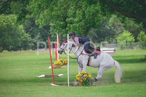 RWP_2789