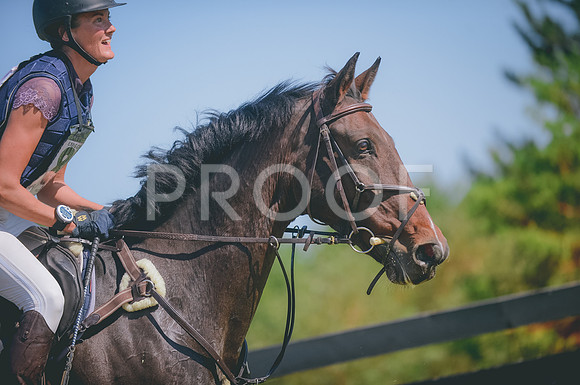 JJS_4367