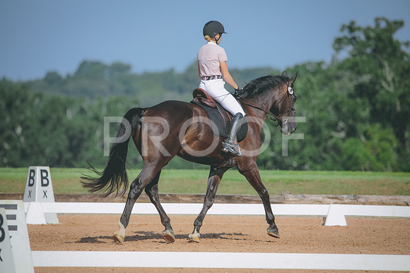 RWP_4631