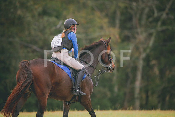 RWP_2717