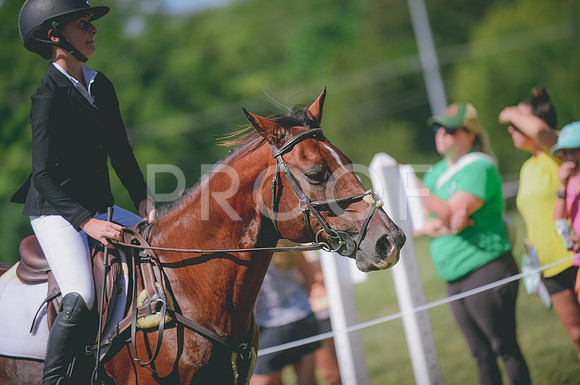 JJS_0594