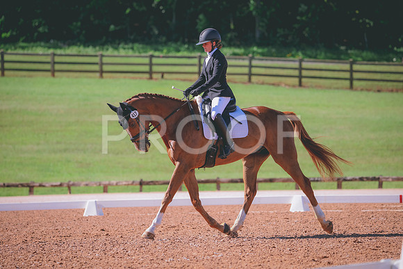 RWP_9665