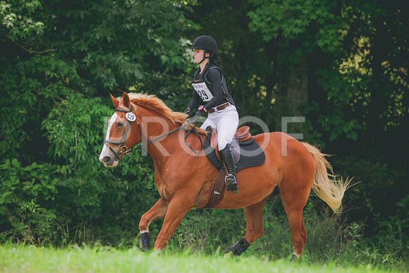 RWP_4845