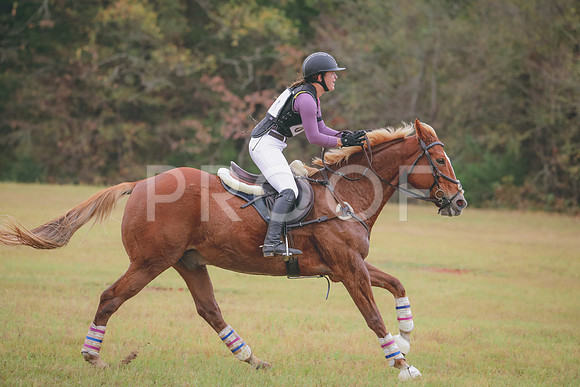 RWP_2743