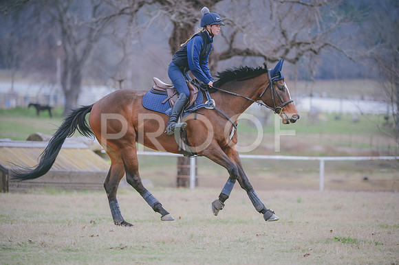 JJS_1580