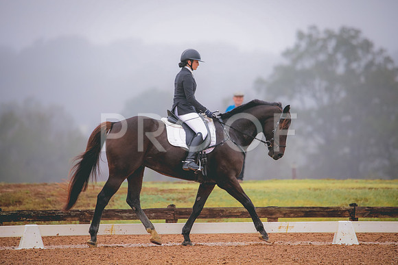 RWP_1173