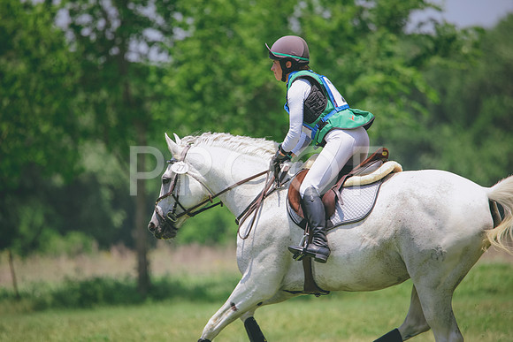RWP_3351