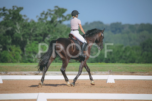 RWP_4635