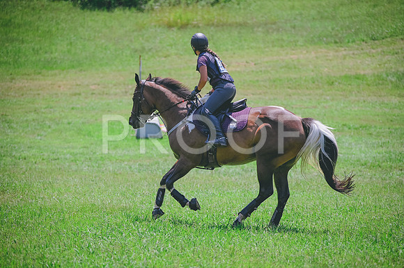 DSC_6570
