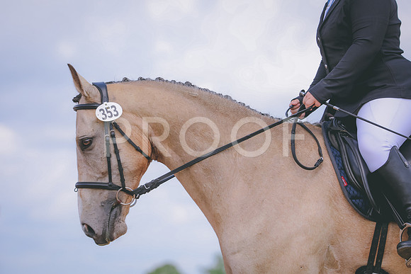 RWP_4464