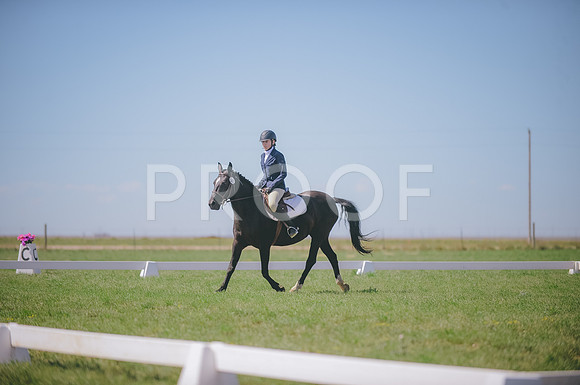 JJS_3711