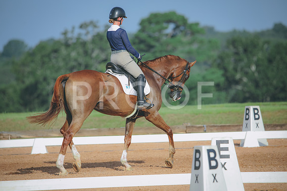 RWP_4425