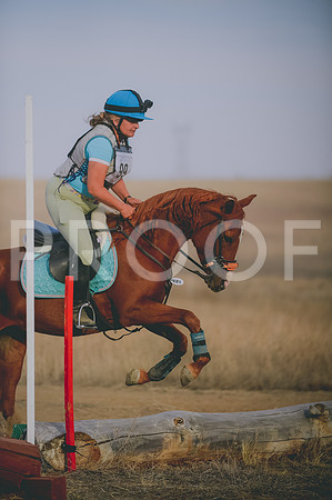 JJS_6208