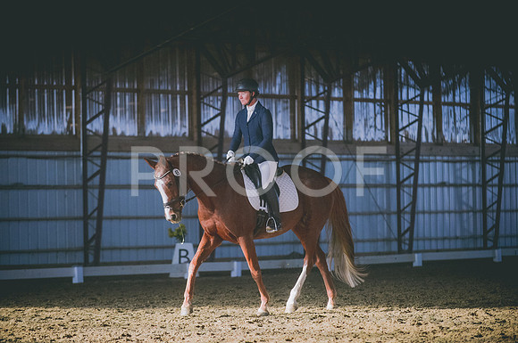 JJS_1781