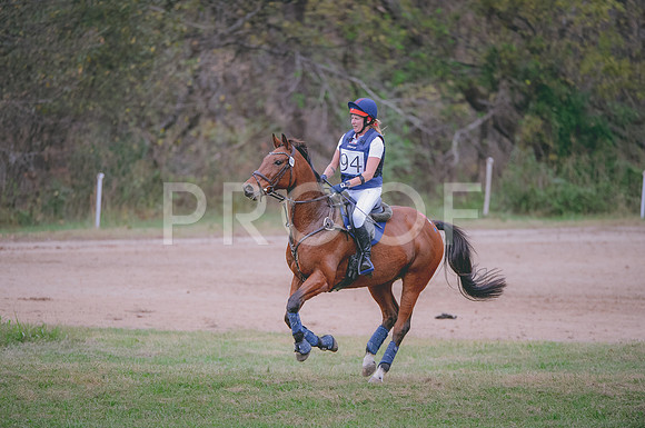 JJS_2193