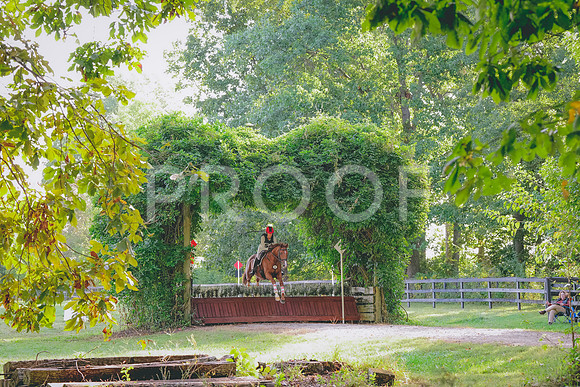 DSC00249