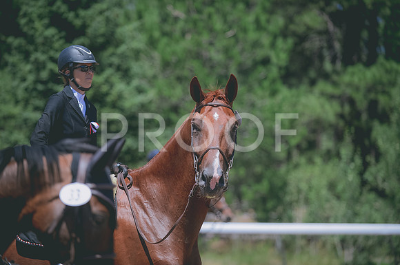 JJS_1189A