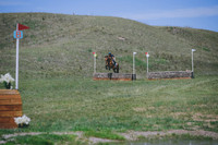 61