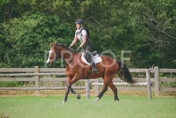 RWP_5186