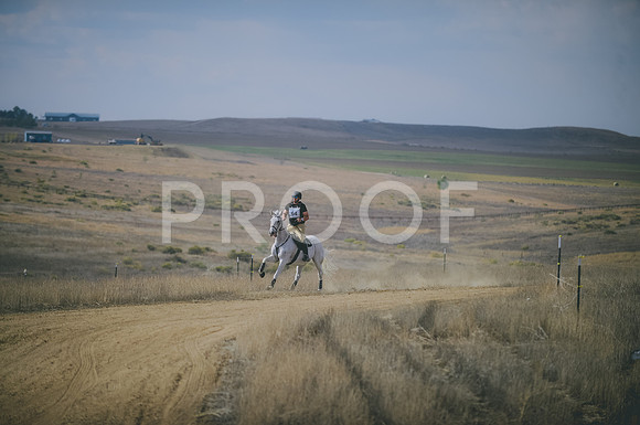 JJS_0627
