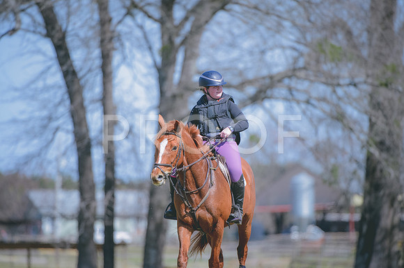 JJS_7201