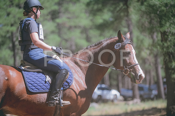 JJS_3447A