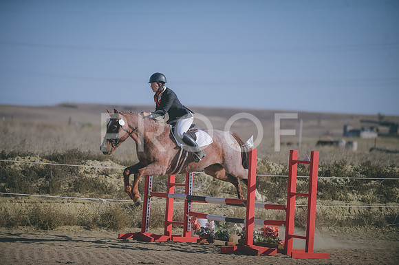 JJS_1466