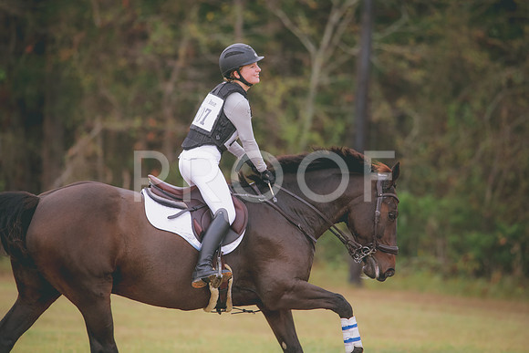 RWP_3785