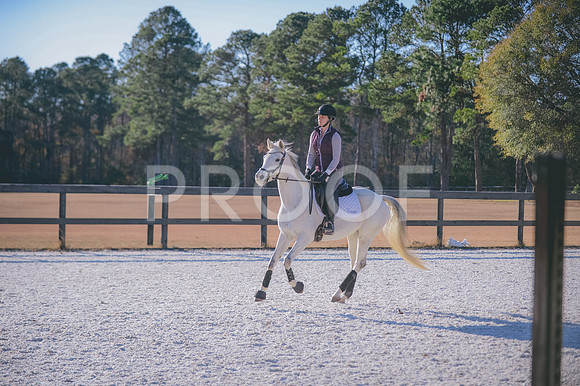 JJS_0334