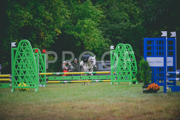 JJS_7552