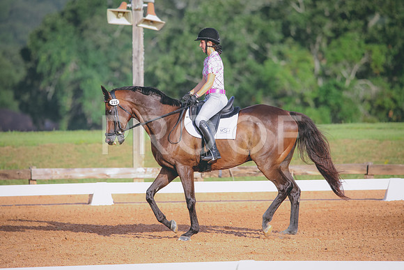 RWP_4337