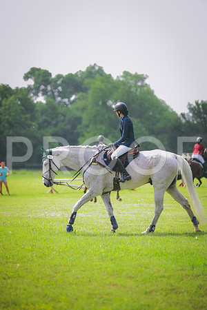 RWP_9506