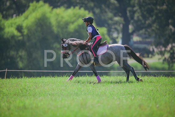 RWP_6423