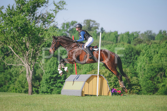 RWP_2641