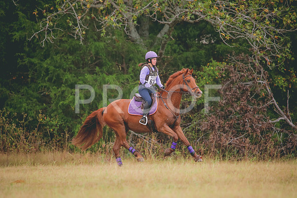 RWP_3422