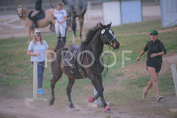 JJS_3839