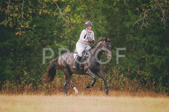 RWP_2276