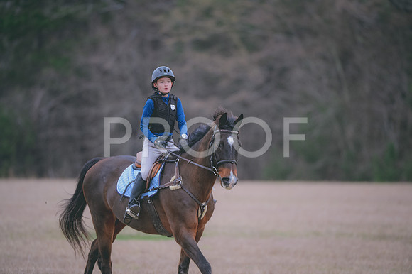JJS_4079