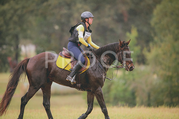 RWP_3389