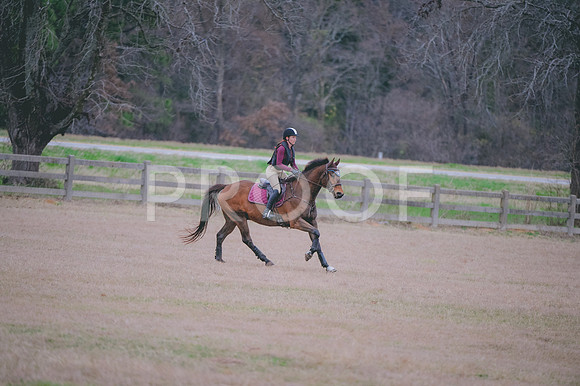JJS_7925