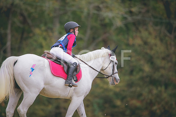 RWP_3772