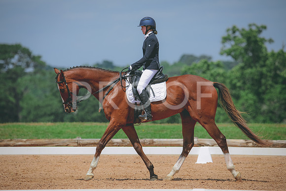 RWP_4457