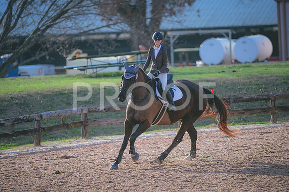 JJS_4191