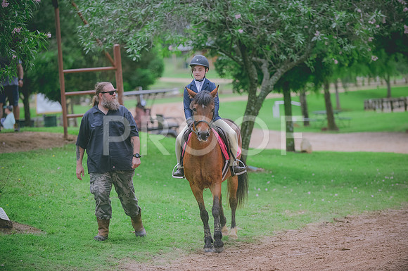000_3537 copy