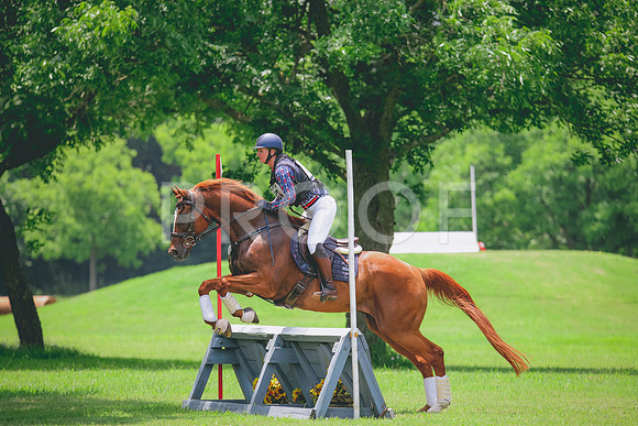 RWP_2953