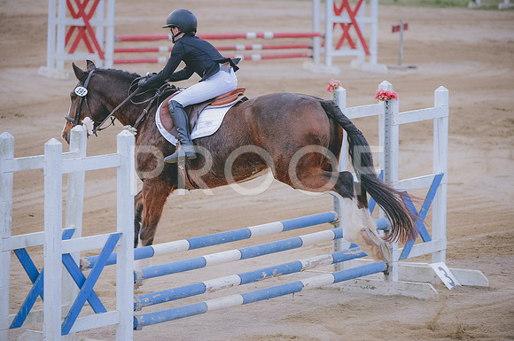 JJS_3460