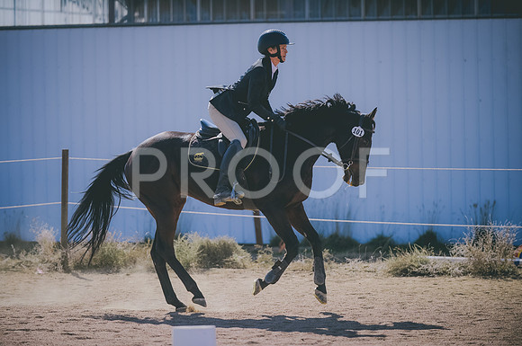 JJS_6825